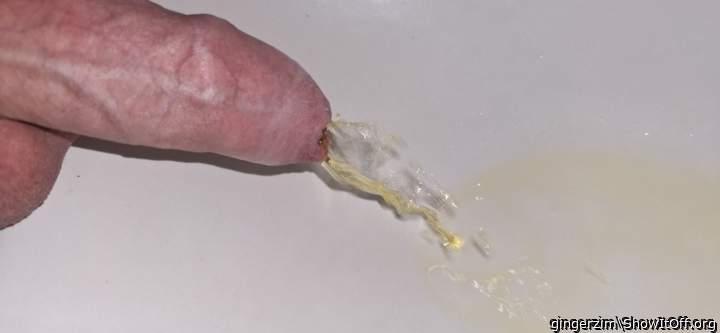 Adult image from gingerzim