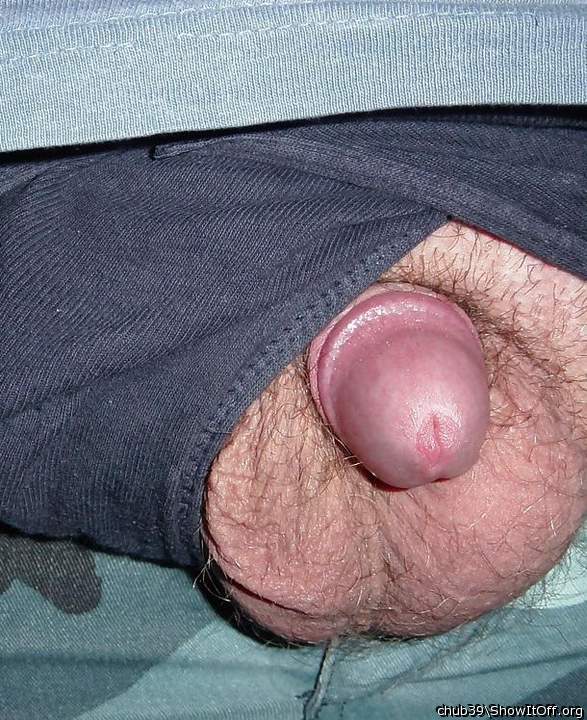 Photo of a middle leg from chub39