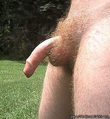 Photo of a pocket rocket from peter79