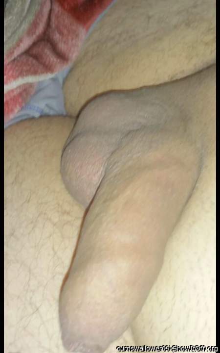 The hot cock I'm sucking on today!