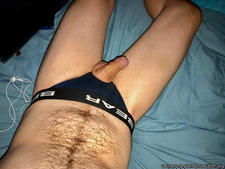 Photo of a middle leg from Boerseun