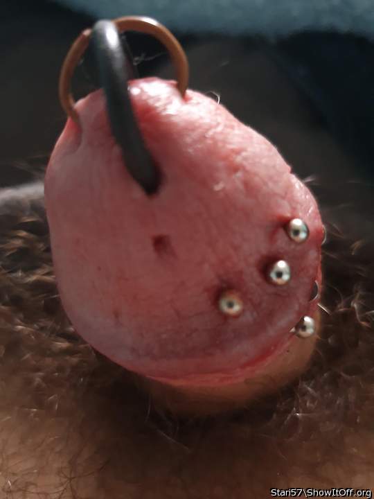 Photo of a sausage from stari57