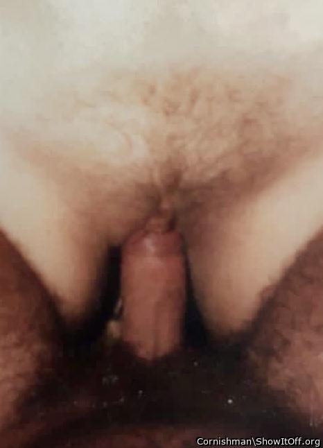 Photo of a weasel from Cornishman