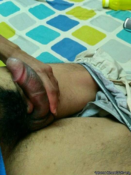 Photo of a wiener from Delonix
