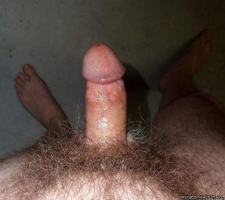 Photo of a tool from billycat
