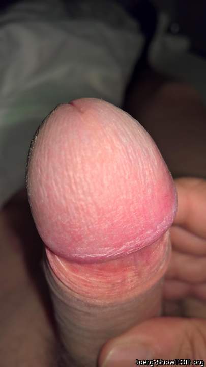   Beautiful mushroom  