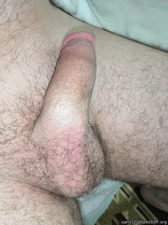 Photo of a wiener from sami12