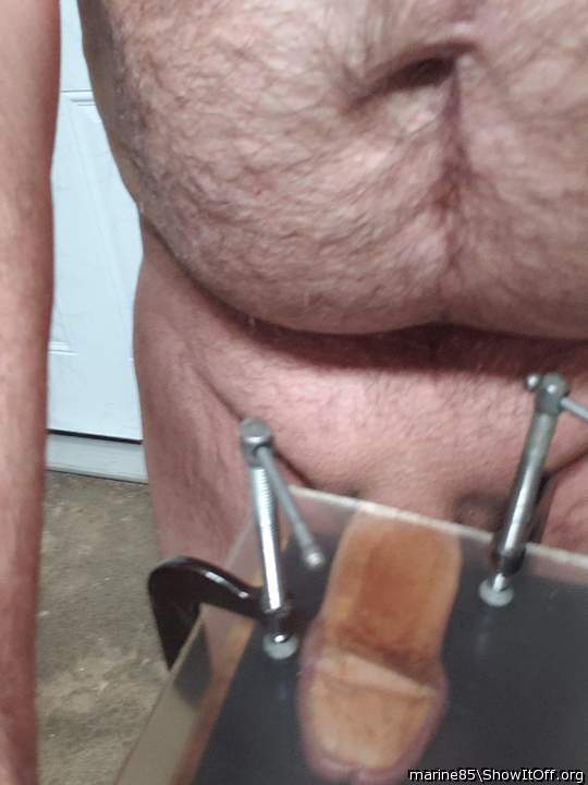 Flattened cock