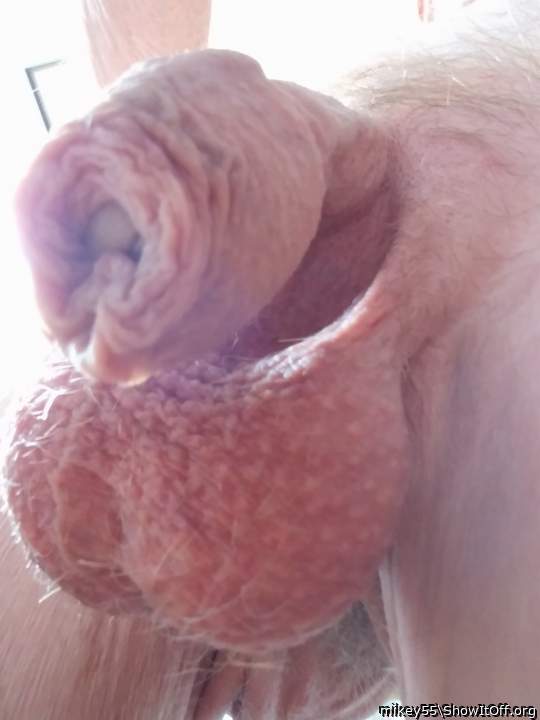 Thanks, foreskin and balls !!!