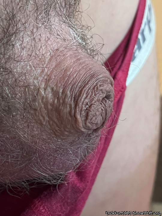 Photo of a snake from DickFun1981