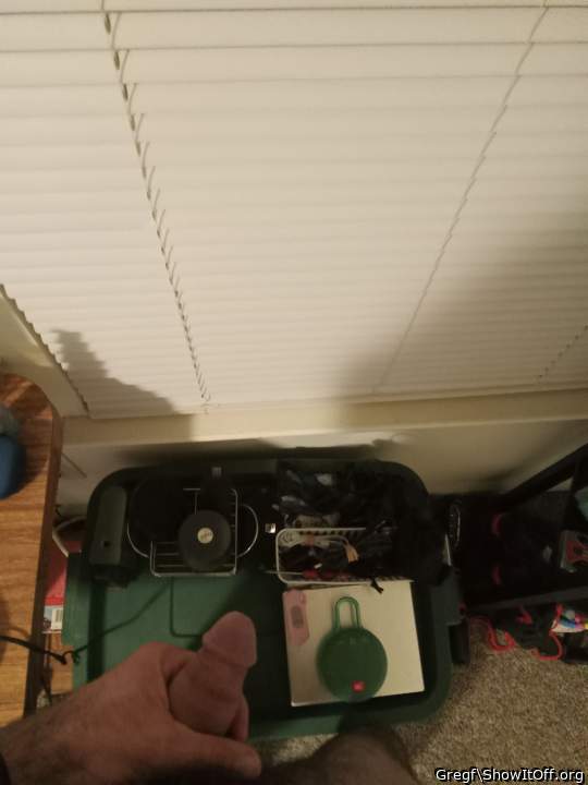 Photo of a penis from Gregf