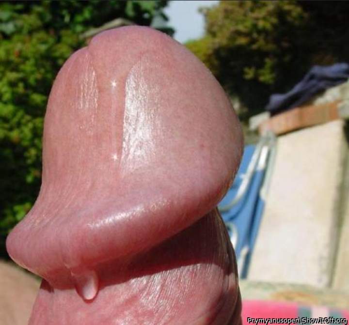 A perfect head covered in precum. Perfect!