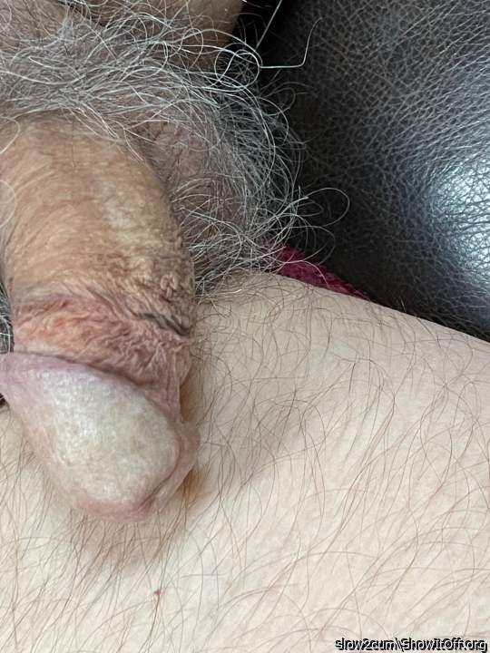 Photo of a dong from slow2cum