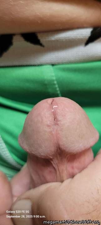 Photo of a snake from megaman10