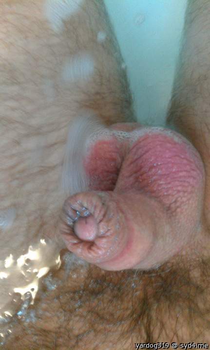 Photo of a third leg from yardog319