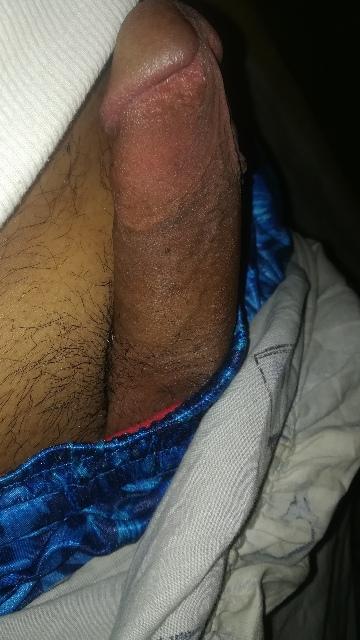 Photo of a python from jhonzkie