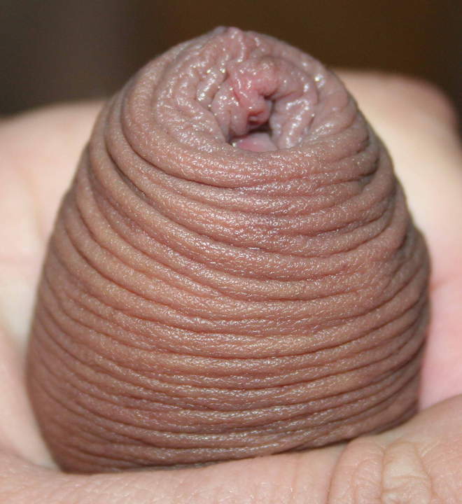 Adult image from nylonlover