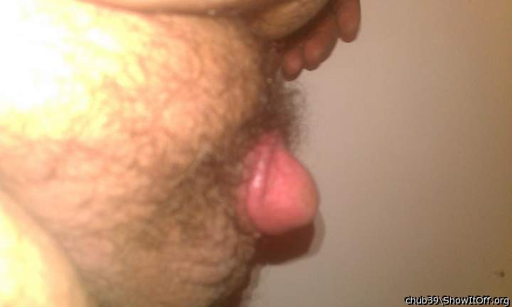 Photo of a prick from chub39