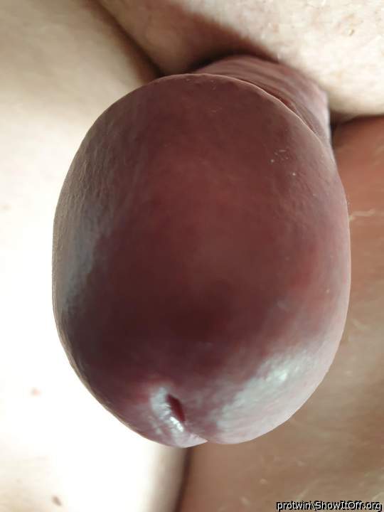 Photo of a dong from protwin