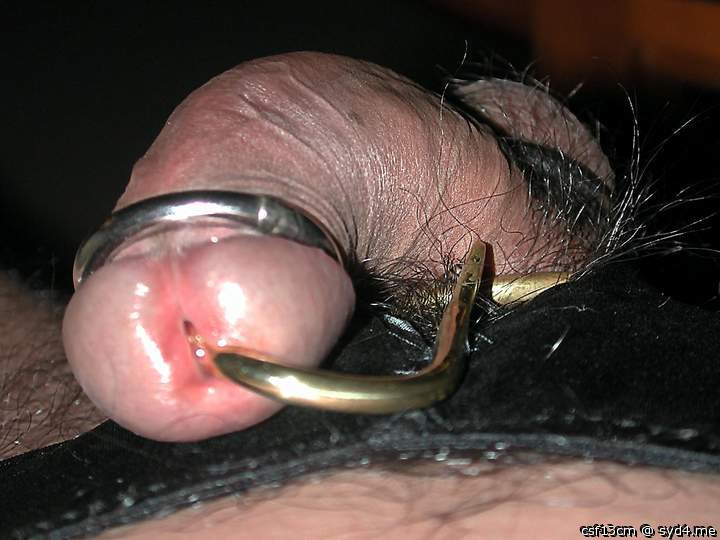Photo of a meat stick from csf13cm