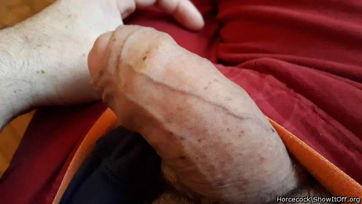 Photo of a tool from massivecock