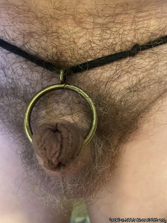 Photo of a third leg from DickFun1981