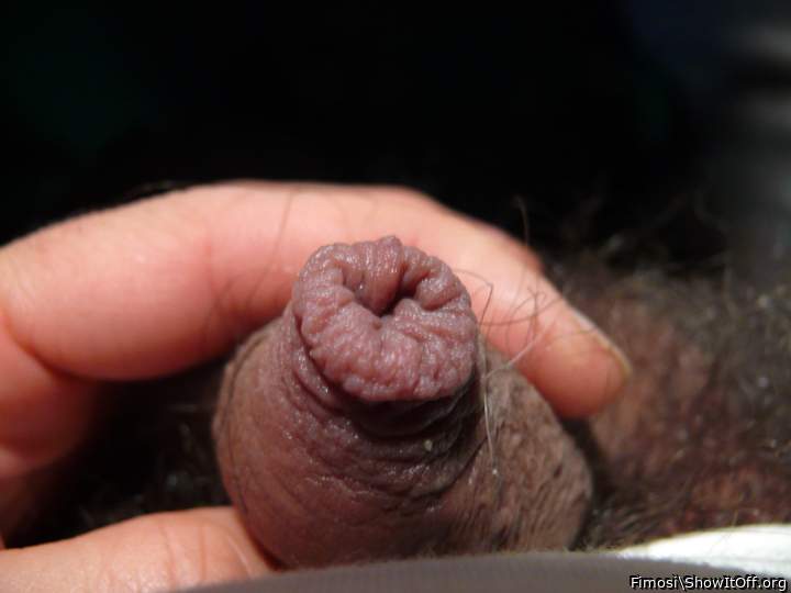 Sembra un merletto?