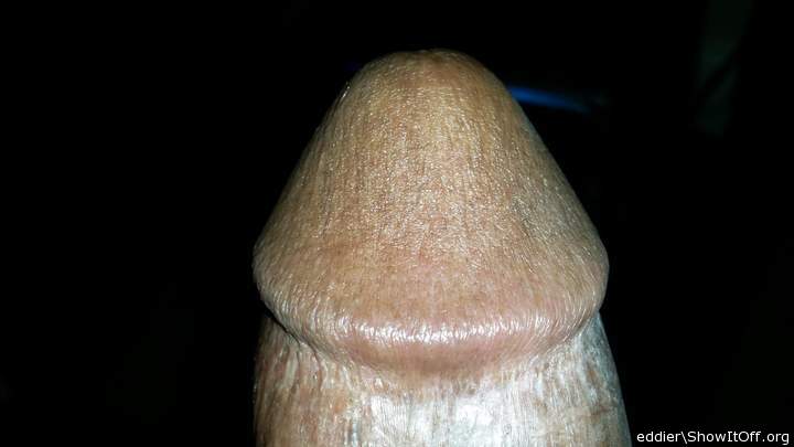 Photo of a snake from eddier