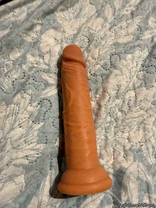 Photo of a bat from Gregf