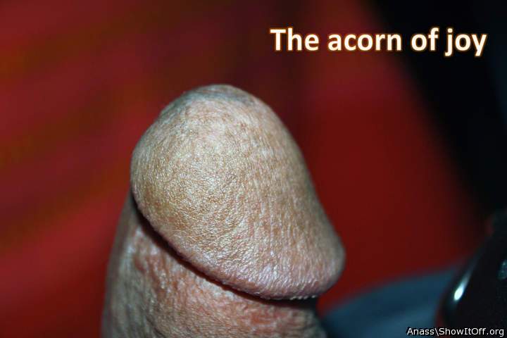 Photo of a drain pipe from Anass
