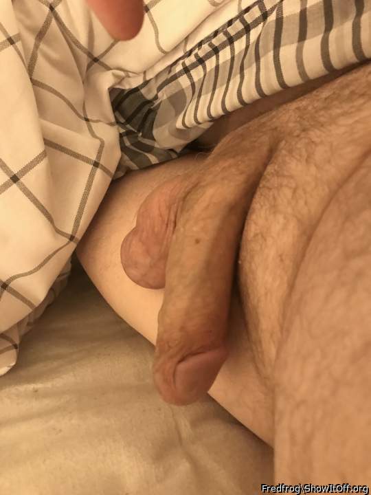 Morning