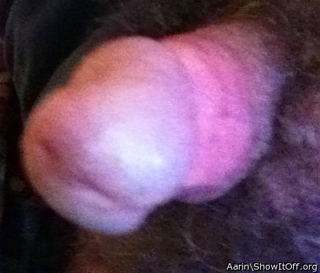 Photo of a python from Arinn