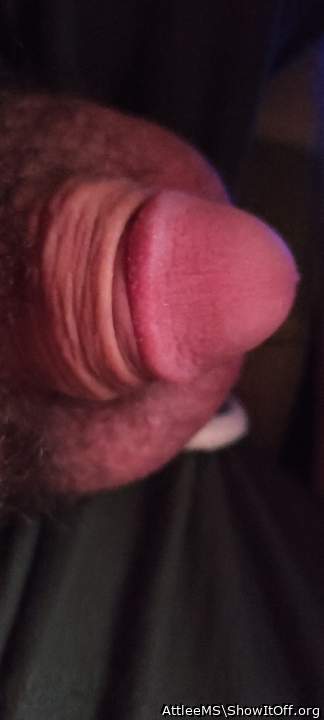 Photo of a member from AttleeMS
