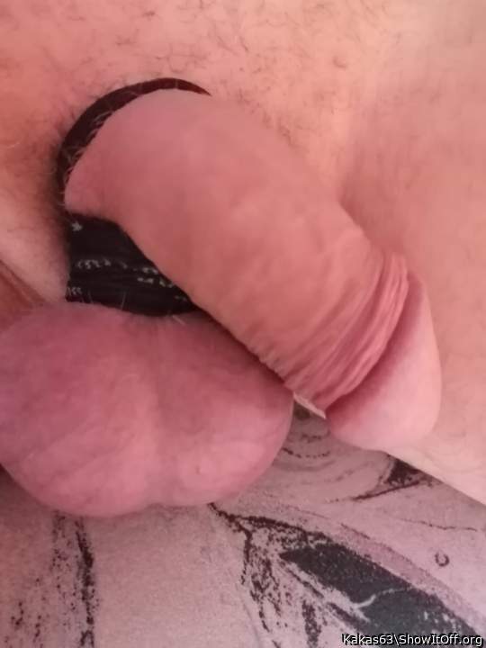 Photo of a cock from Kakas63