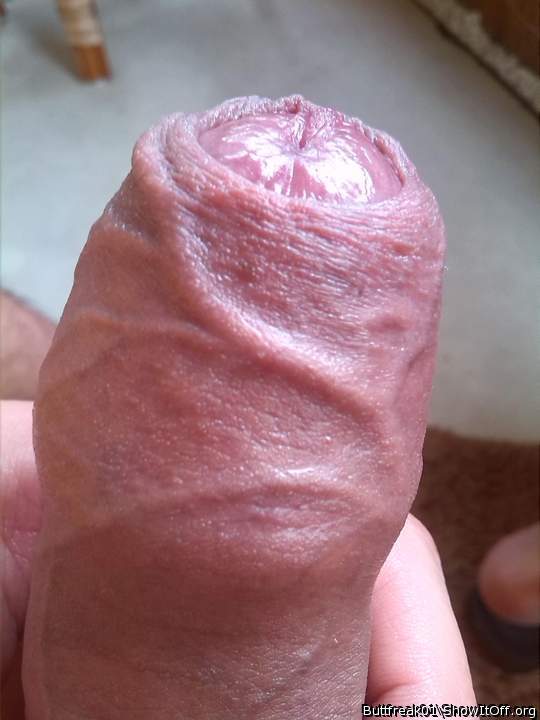 Photo of a bat from buttfreak01