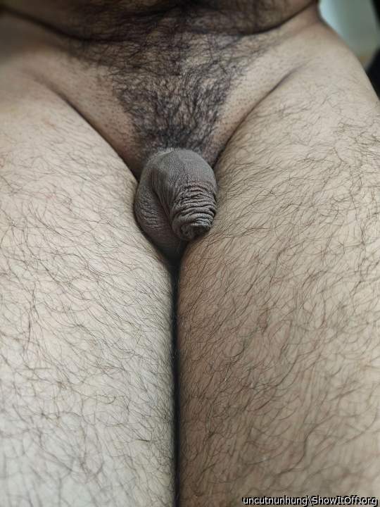 Photo of a cavalier from uncutnunhung