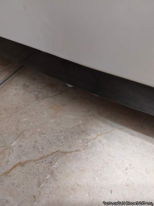 Hit the washing machine. Will have to try video next time. You guys and gals tur