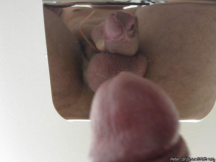 Photo of a bat from peter_b
