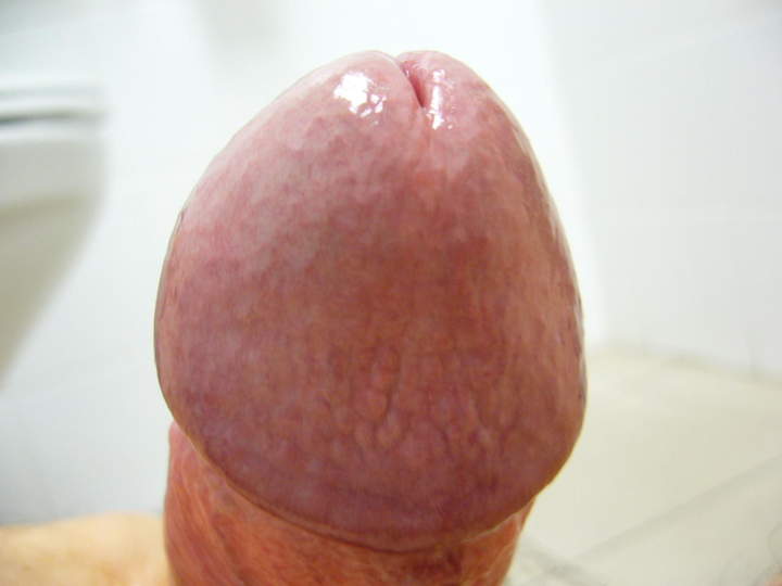 Photo of a thing from alessio