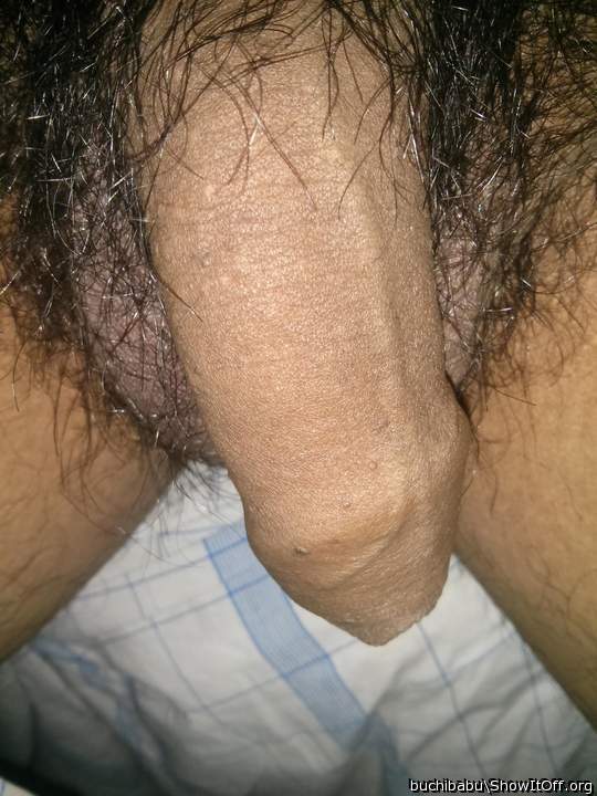 Photo of a python from pavan