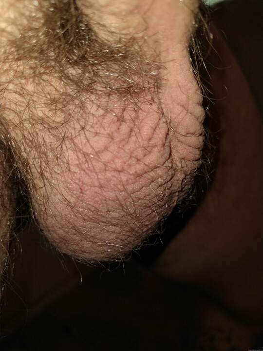 Photo of a horn from Tnelson88