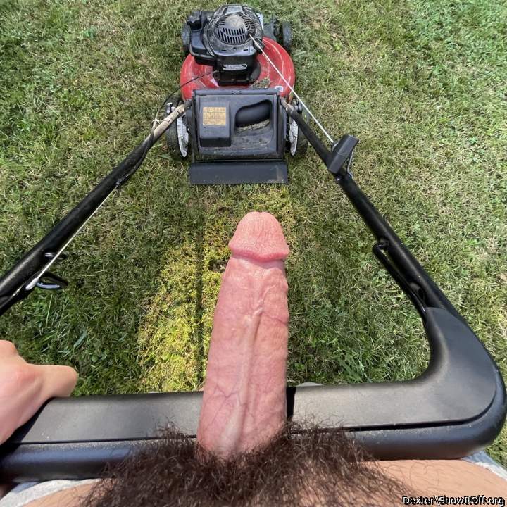 Mowing the front yard
