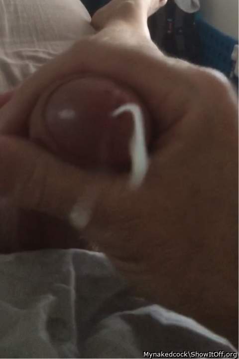 Photo of a cavalier from Mynakedcock