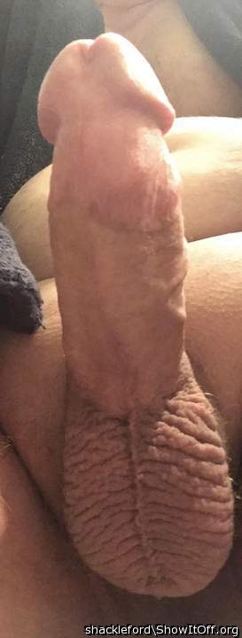 Nice cock and ball package!  