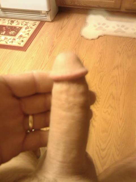 Photo of a tool from yardog319