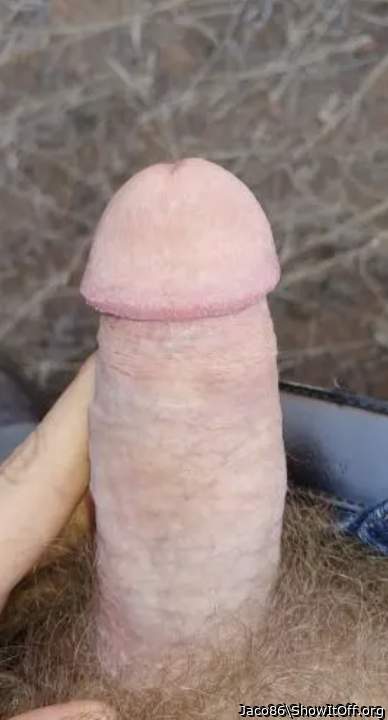 Photo of a boner from Jaco86