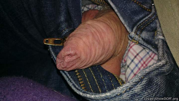 Photo of a snake from covas