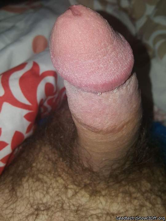 Nice cut glans 