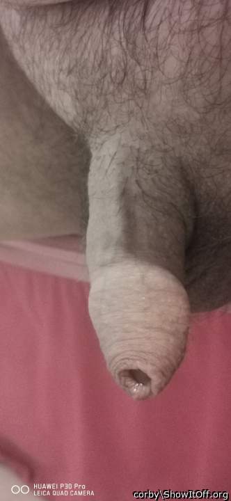 A little bit of precum glistening