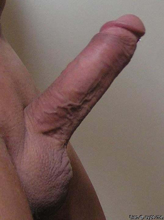 Photo of a third leg from Bian